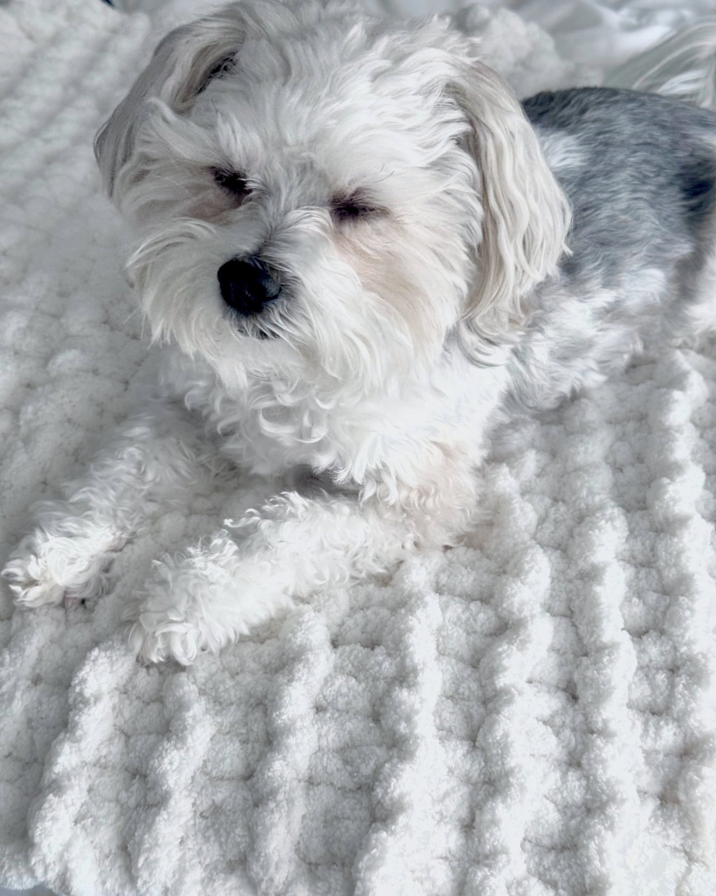 Hand-Knit Chunky Blanket (Newborn/Pet)